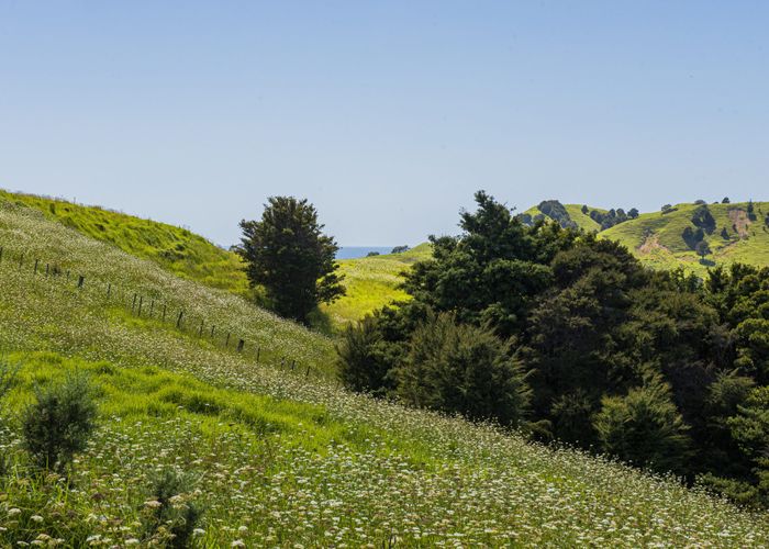  at 0 Hailes Road, Whananaki, Whangarei, Northland