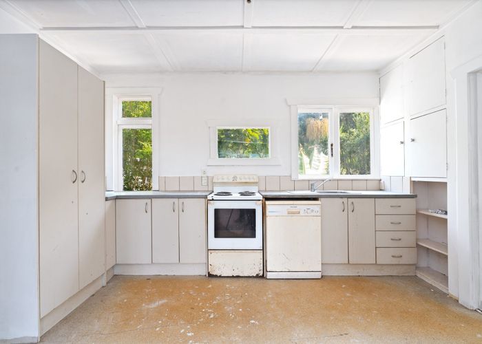  at 101 Seabrook Avenue, New Lynn, Auckland