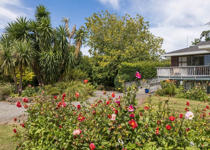  at 231 Rea Road, Katikati, Western Bay Of Plenty, Bay Of Plenty