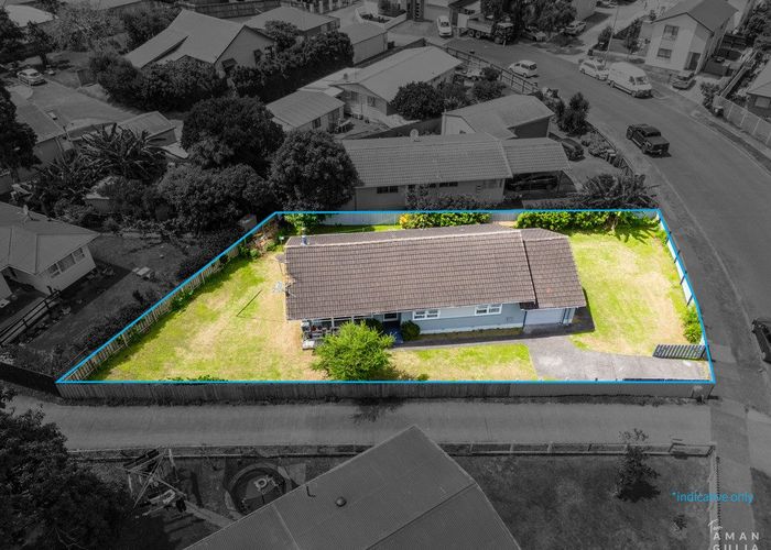  at 16 Meliora Place, Avondale, Auckland City, Auckland