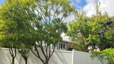  at 89 Gowing Drive, Meadowbank, Auckland