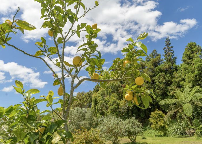  at 44a Martray Road, Katikati, Western Bay Of Plenty, Bay Of Plenty