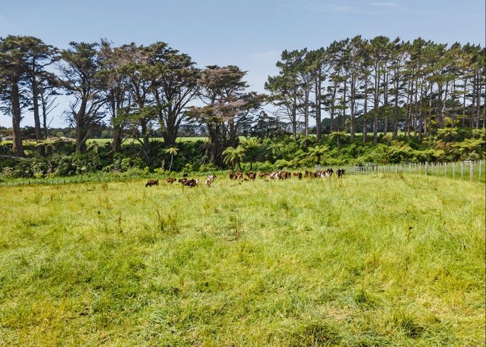  at 177A Mid Puniho Road Sections, Warea, South Taranaki, Taranaki