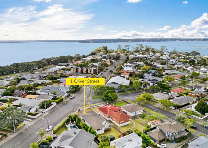  at 1 Oliver Street, Point Chevalier, Auckland City, Auckland