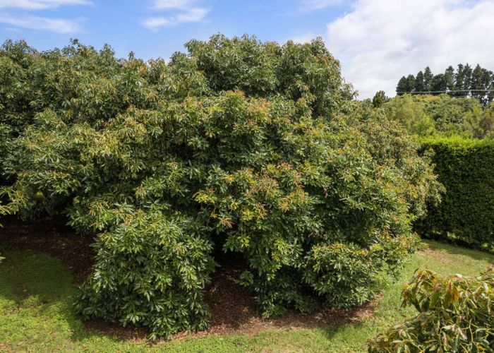  at 22 Ongare Point Road, Katikati, Western Bay Of Plenty, Bay Of Plenty