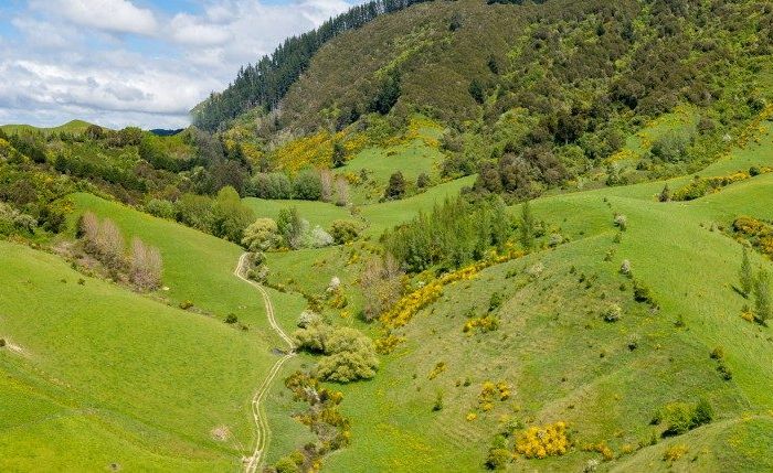  at 98 Thorpe-Orinoco Road, Ngatimoti, Tasman, Nelson / Tasman