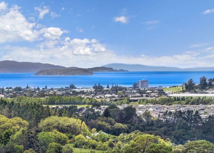  at 202 Kahikatea Flat Road, Albany