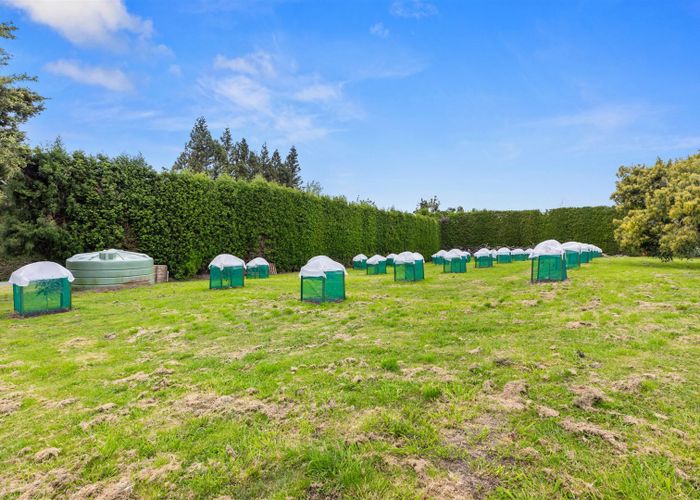  at 68 Oak Drive, Rangiuru