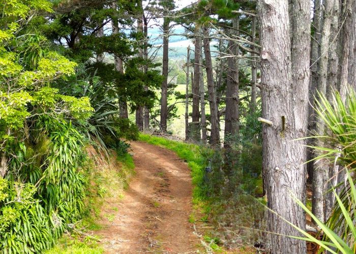  at 334 Otaua Road, Taheke, Far North, Northland
