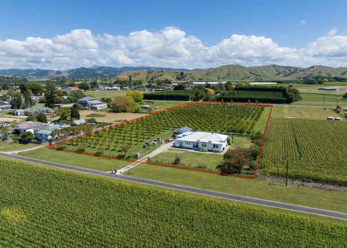  at 17 Cemetery Road, Gisborne