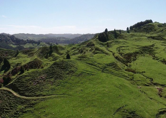 For sale 167 Whenuakura Road, Taumarunui, Ruapehu, Manawatu / Whanganui homes.co.nz