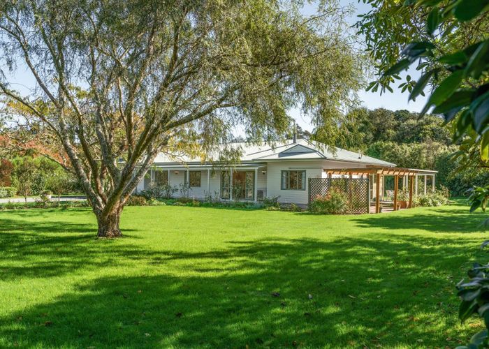  at 31 Udy Street, Greytown