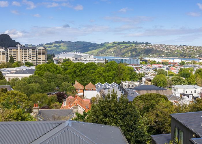  at 19 Queen Street, North Dunedin, Dunedin, Otago