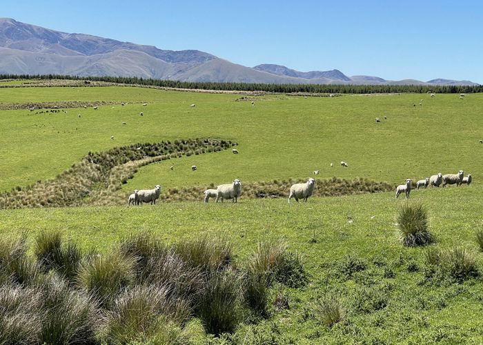  at 540 Four Mile Road, North Dunedin, Dunedin, Otago