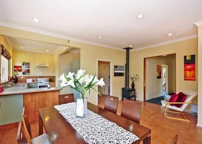  at 17 MacDiarmid Road, Beerescourt, Hamilton