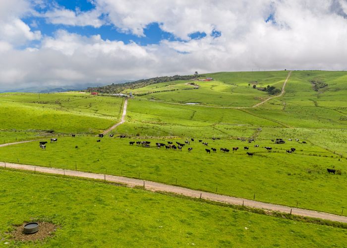  at 89 Jones Road, Dargaville, Kaipara, Northland