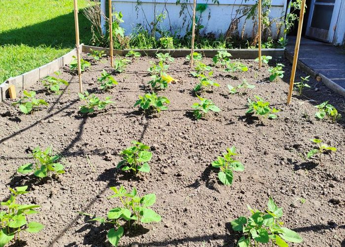  at 55 Williamson Avenue, Belmont, North Shore City, Auckland