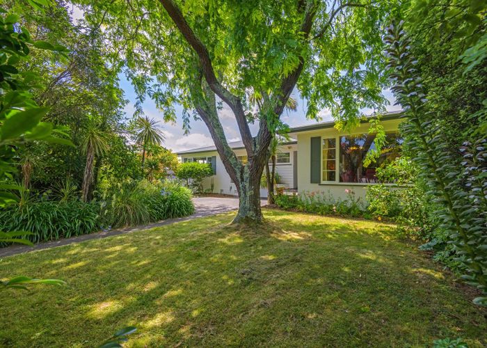  at 41 Saint Albans Avenue, Hokowhitu, Palmerston North, Manawatu / Whanganui