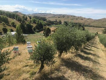  at 1302 Waimarama Road, Havelock North