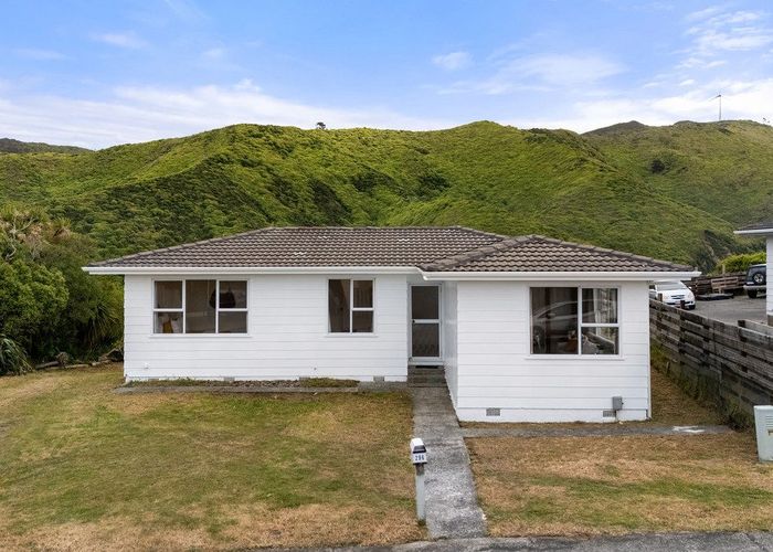  at 296 Mitchell Street, Brooklyn, Wellington, Wellington