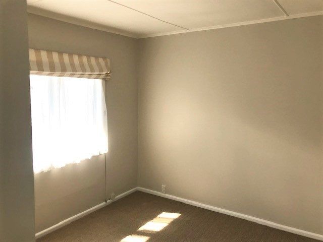  at 12A Clifton Road, Hamilton Central, Hamilton