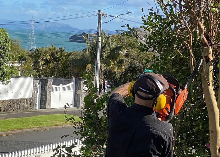  at 1/76 Arthur Street, Onehunga, Auckland City, Auckland