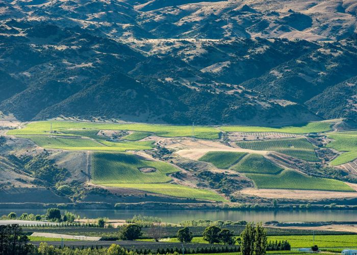 at 286 Lakefront Terrace, Tarras-Cromwell Road, Cromwell, Central Otago, Otago
