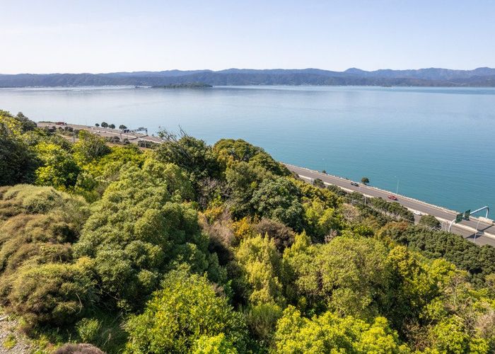  at 22 Sovereign Point, Kaiwharawhara, Wellington, Wellington