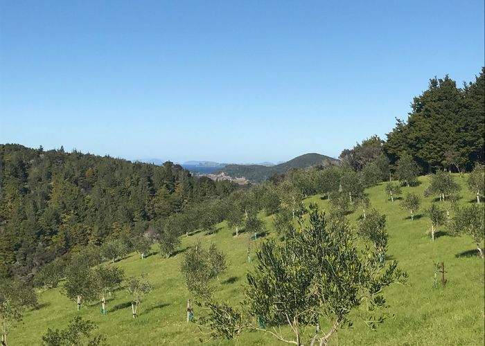  at 137A Pukenui Road, Whangarei