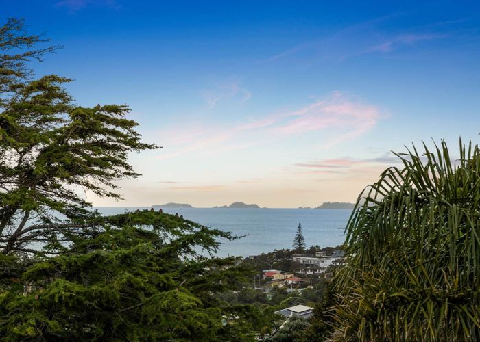  at 355 East Coast Road, Mairangi Bay, North Shore City, Auckland