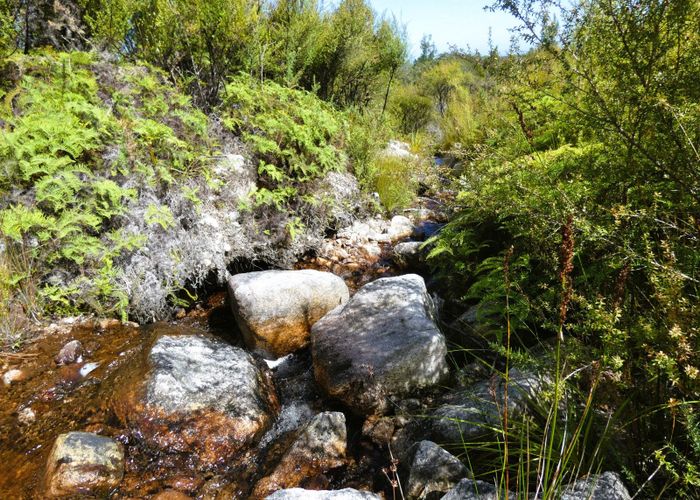  at 998 Fairdown Road, Westport, Buller, West Coast