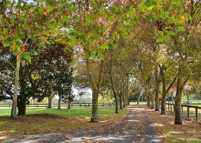  at 761 Great South Road, Runciman, Drury