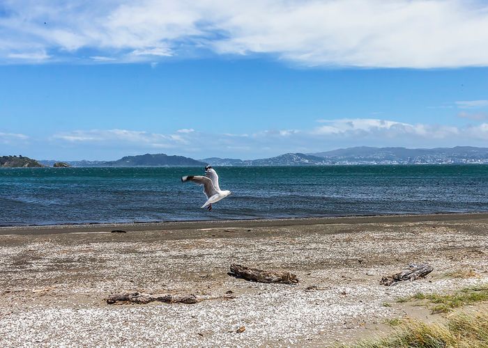  at 143 The Esplanade, Petone, Lower Hutt