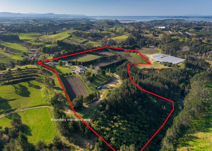  at 325F Esdaile Road, Whakamarama, Western Bay Of Plenty, Bay Of Plenty