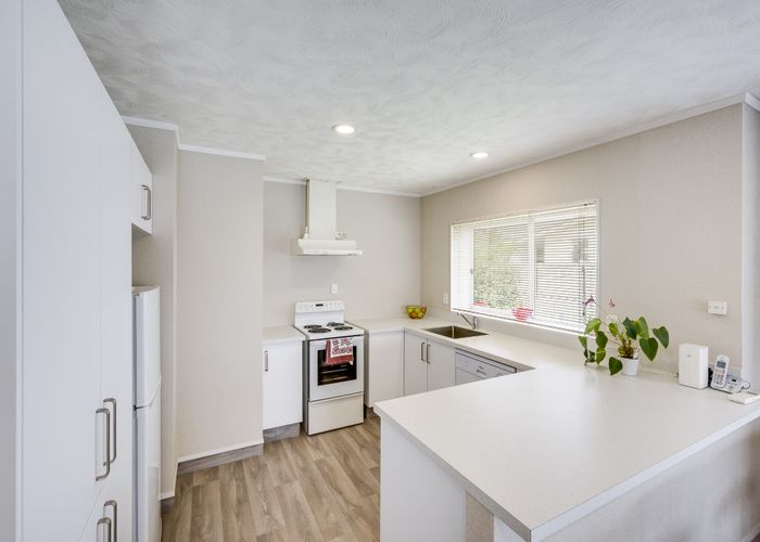  at 61b Elbourne Street, Taradale, Napier, Hawke's Bay