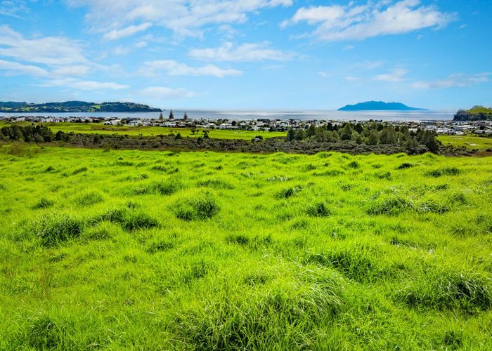  at Mangatawhiri Road, Omaha, Rodney, Auckland