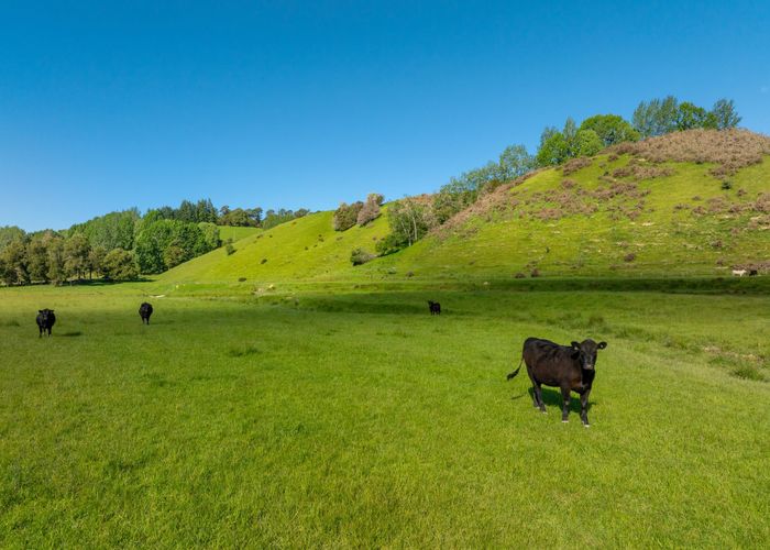  at 281 Tadmor Valley Road, Tapawera, Tasman, Nelson / Tasman