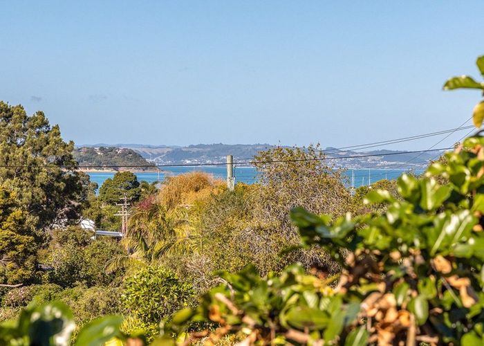  at 32 Ridge Road, Oneroa, Waiheke Island