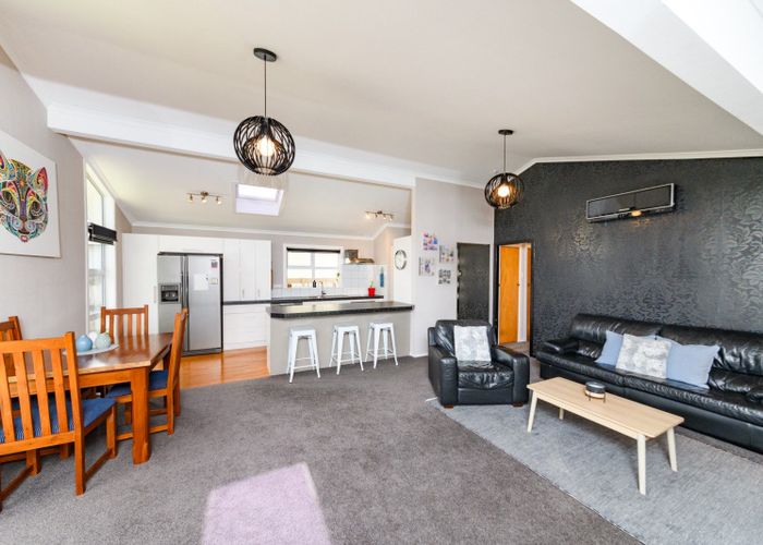  at 17 Patea Place, Terrace End, Palmerston North