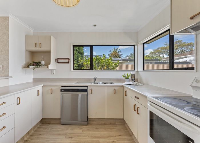  at 19A College Street, Awapuni, Palmerston North