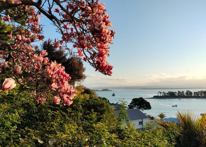  at 11 Fifeshire Crescent, Stepneyville, Nelson, Nelson / Tasman