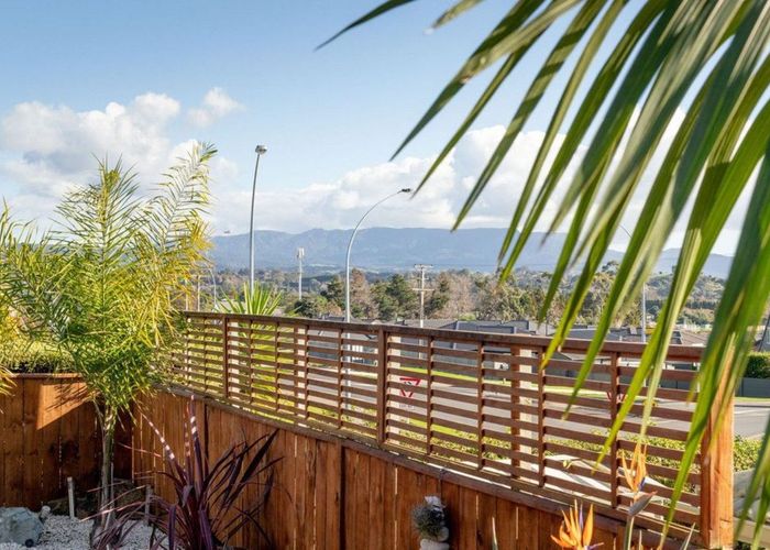  at 11 Holyoake Terrace, Omokoroa, Western Bay Of Plenty, Bay Of Plenty