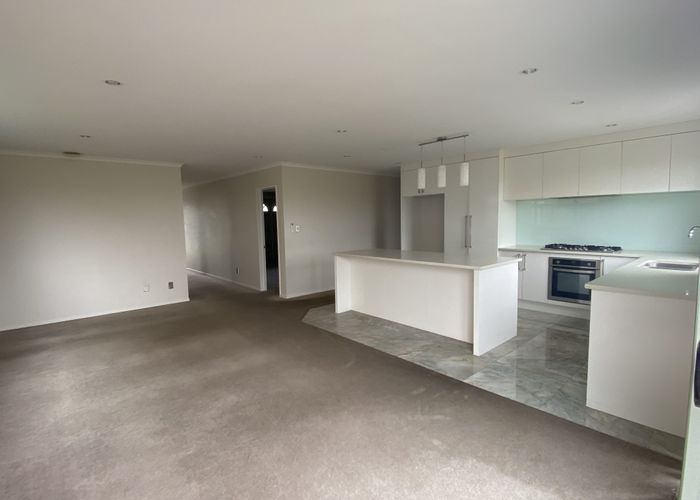  at 14 Shelby Lane, Flat Bush, Manukau City, Auckland