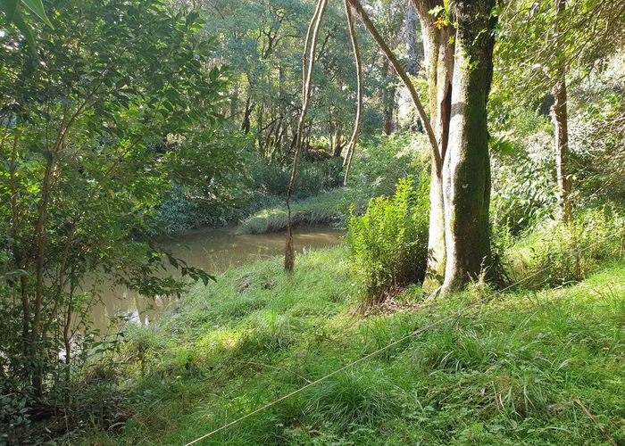  at Lot 1/0 Huarau Road, Maungaturoto, Kaipara, Northland