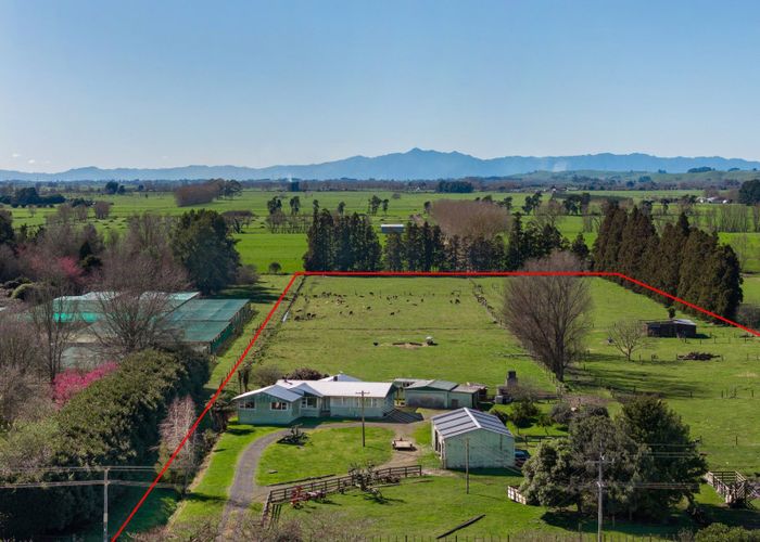  at 386 Marshmeadow Road, Newstead, Hamilton