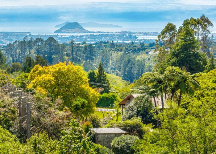  at 64 Oropi Gorge Road, Pyes Pa, Tauranga, Bay Of Plenty