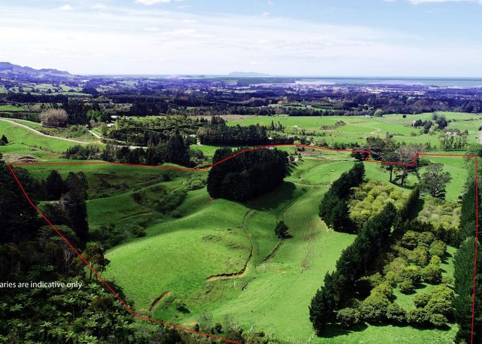  at 348B Rea Road, Katikati