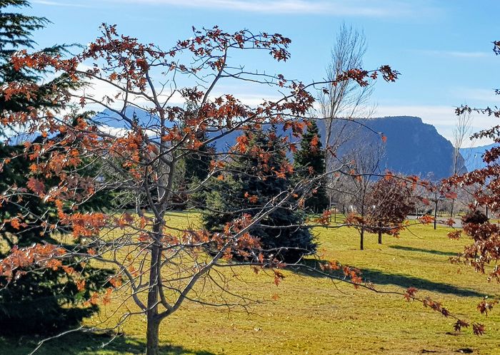  at 7 Mountain View Drive, Wanaka