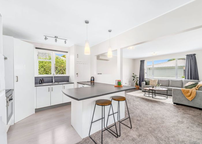  at 38 Worthy Street, Ilam, Christchurch City, Canterbury