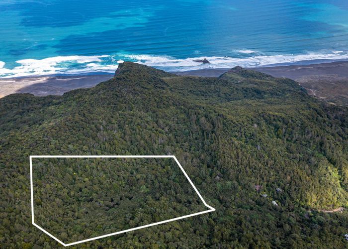 For sale 22 Waikarekare Lane, Karekare, Waitakere City, Auckland